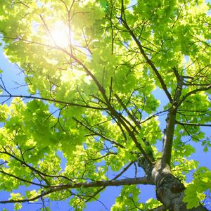 李辉操逼给他爸操了吗
